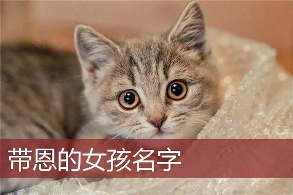 宝宝起名恩女 带恩字女孩名怎么配