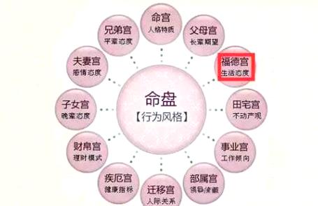 紫微斗数天相星