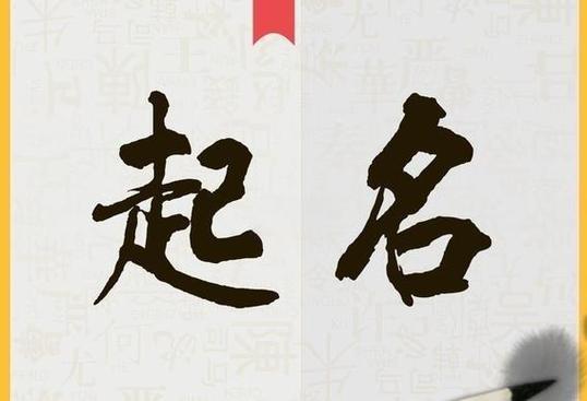 服务类公司起名